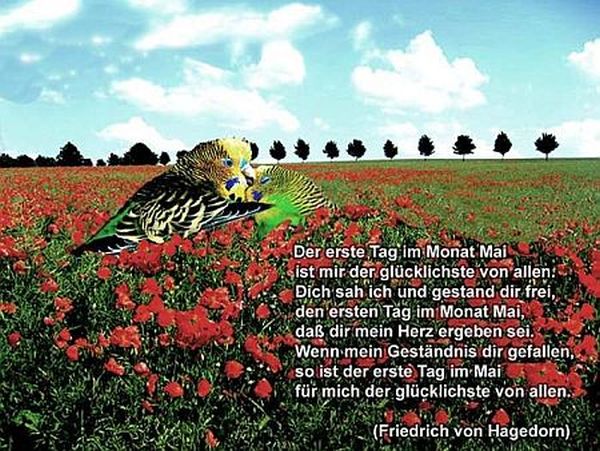 ECKHARD TREMS