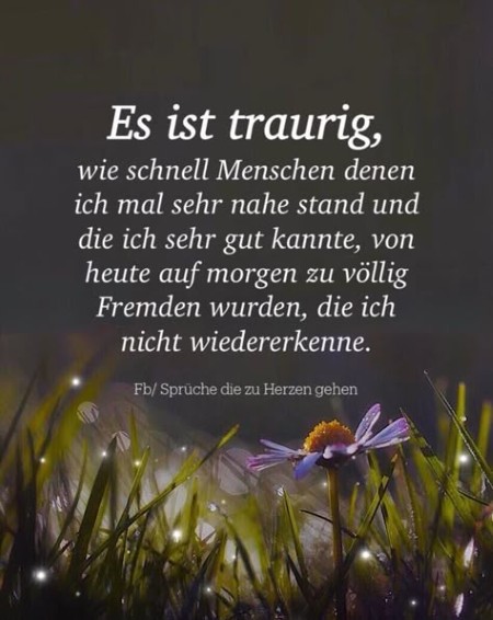 FRÖLICHE PFINGSTEN  
